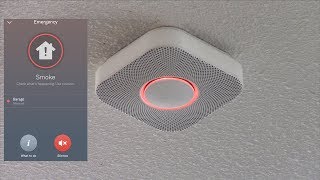 Testing the Nest Protect Smoke Alarm with Fire [upl. by Amie]