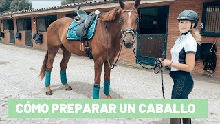 Cómo preparar un caballo  Tutorial [upl. by Crichton268]