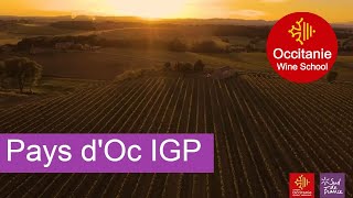 Mini masterclass 10 Pays dOc IGP – Occitanie Wine School [upl. by Assiralk]