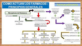 TEMA 3FARMACODINAMIA RECEPTORES FARMACOLOGICOS e introduccion a los AGONISTAS Y ANTAGONISTAS [upl. by Katuscha]