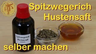 Spitzwegerich Hustensaft selber machen [upl. by Dowling]