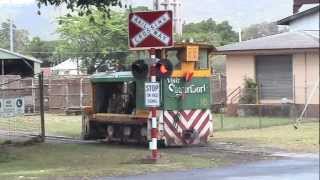 Sugarcane Locos at Gordonvale Mill North Queensland [upl. by Rednasela]