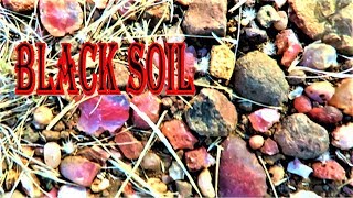 THERES AGATES EVERYWHERE  Black Soil Area  Liz Kreate [upl. by Calder172]