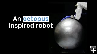 Octopusinspired soft robot [upl. by Manchester771]