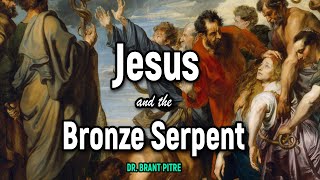 Jesus and the Bronze Serpent [upl. by Ellehciram]