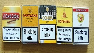 Best cigarillos [upl. by Barhos674]