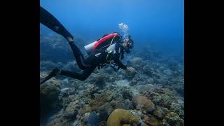 Anilao diving [upl. by Lory877]