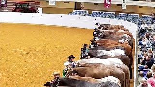 APPALOOSA YOUTH NATIONALS  OKLAHOMA CITY [upl. by Marleen]