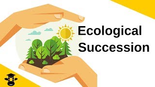 Ecological SuccessionPrimary and Secondary [upl. by Atiuqahs305]