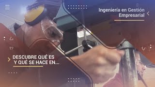 Ingeniería en Gestión Empresarial qué es y qué se hace [upl. by Aynotal]