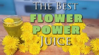 DANDELION FLOWER JUICE  115x Better Than the Roots amp Leaves [upl. by Dannon]