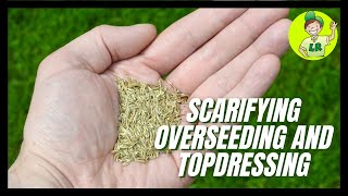 Scarifying seeding and topdressing this lawn [upl. by Delia]