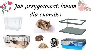 Jak przygotować lokum dla chomika [upl. by Orit]