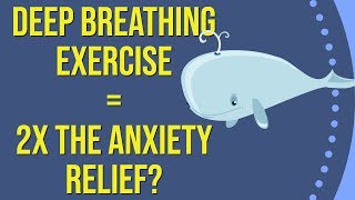 The Equal Breathing Method An Exercise to Calm Anxiety [upl. by Ib198]