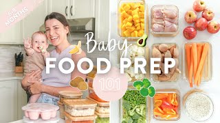 BABY FOOD MEAL PREP  Homemade Purees  Free Downloadable Guide [upl. by Dierdre]