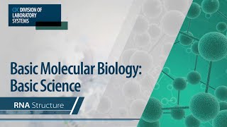 Basic Molecular Biology Basic Science – RNA Structure [upl. by Sonahpets438]