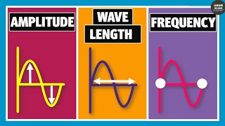 Wavelength Frequency Time Period and Amplitude  Physics [upl. by Ratep339]