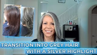 Transition into Grey Hair with a Silver Highlight Help for Blonde Red or Brunette [upl. by Eiclek]