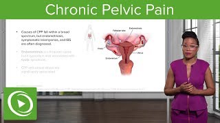 Chronic Pelvic Pain CPP Definition Diagnosis amp Management – Gynecology  Lecturio [upl. by Areema450]