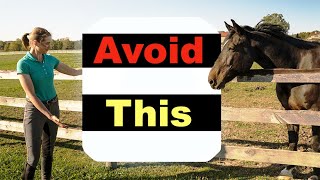 BEGINNER HORSE RIDING MISTAKES  TOP 10 🐴 [upl. by Itirp]