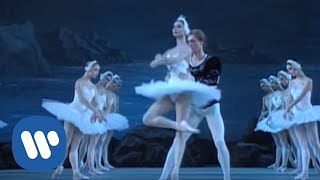 Ballet Tutus Beautiful Performances [upl. by Carleton]