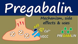 Pregabalin  Mechanism side effect and uses [upl. by Eerihs]