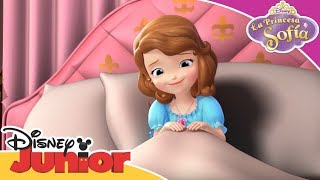 La Princesa Sofía Nuevos episodios  Disney Junior Oficial [upl. by Caruso566]