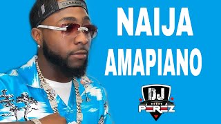 🔥TOP AFROBEAT AMAPIANO MIX  AFROBEAT MIX 2021  AMAPIANO MIX 2021  NAIJA  DJ PEREZDavidoFocalis [upl. by Earlene583]