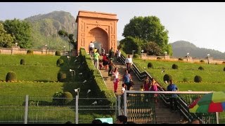 Chashme Shahi  Beautiful Mughal Garden at Srinagar India  Kashmir Tourism HD Video [upl. by Nnahgem]