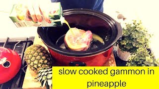 Slow Cooked Gammon in Pineapple [upl. by Eeram592]