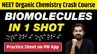 BIOMOLECULES in One Shot  All Concepts Tricks amp PYQs  Class 12  NEET [upl. by Carmine]