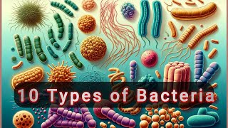 10 types of Bacteria [upl. by Ahsrav880]