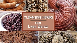 Cleansing Herbs for the Liver and More  Healing Herbs for Detoxification [upl. by Anilrahc]