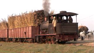 Sugar Cane Railway in India [upl. by Pollack238]