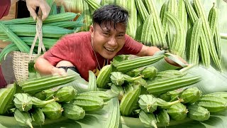 Panen pertama kebun oyong berbagi dengan tetangga di desa warta petani muda hidup di hutan [upl. by Leupold]