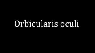 How to pronounce Orbicularis oculi [upl. by Orola]