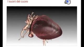 La fisiologia del cuore [upl. by Yerdua]