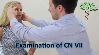 Facial nerve examination Cranial nerve 7 [upl. by Comethuauc591]