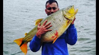 DOCUMENTÁRIO RIO PARAÍBA DO SUL  AINDA EXISTE VIDA  pescaria pesca [upl. by Bowers82]