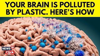 New Research Shows Microplastics Are Infiltrating Brain Tissue  Microplastic In Brain  N18G [upl. by Lirret]