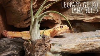 Building A Naturalistic Leopard Gecko Tank [upl. by Millburn274]