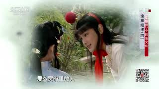 《法律讲堂文史版》 20200902 《红楼梦》中的法文化·宝黛姻缘（四） CCTV社会与法 [upl. by Yeldoow]