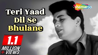 Teri Yaad Dil Se Bhulane  Hariyali Aur Rasta 1962  Manoj Kumar  Mala Sinha  Helen [upl. by Adlee]