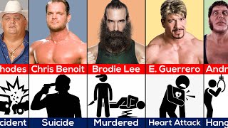 How WWE Wrestlers Died [upl. by Calbert]