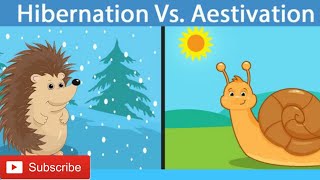 Hibernation vs Aestivation Different between hibernation amp Aestivation [upl. by Maggy]