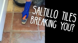 How To Remove Sealer From Saltillo Tile  Stripping Terracotta Floors [upl. by Remington]