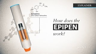 How to Use an EpiPen Training Video [upl. by Nailuj]