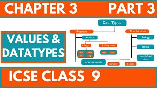 CHAPTER 3 VALUES AND DATA TYPES  PART 3  ICSE CLASS IX  COMPUTER APPLICATION [upl. by Hsetirp]