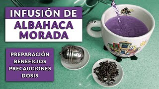 Cómo preparar infusión de albahaca morada beneficios y precauciones  un té con Daniela [upl. by Ebbie]