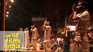 Group of Hindu priests blowing Turbinella pyrum conch during Ganga Aarti puja Varanasi [upl. by Burrill]